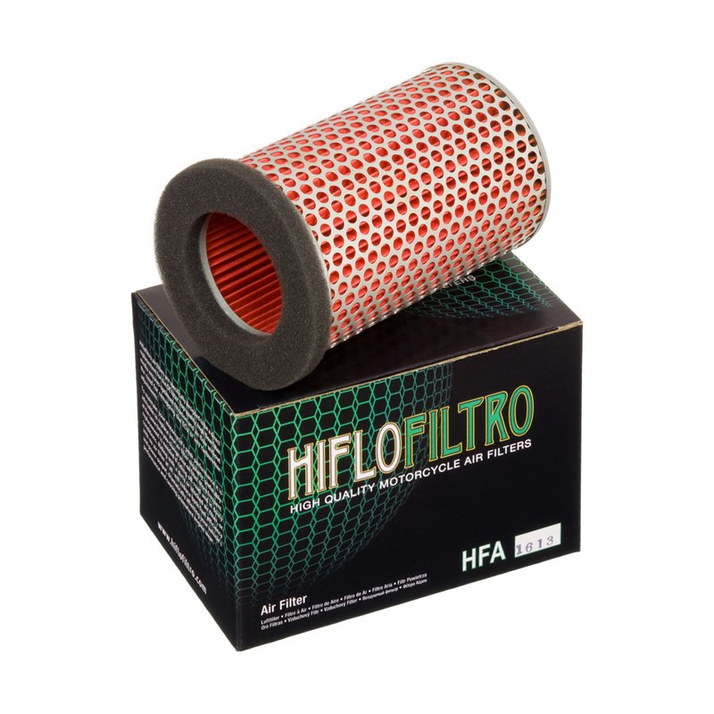 Filtro de Aire Hiflofiltro HFA1613