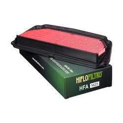 Filtro de Aire Hiflofiltro HFA1623