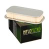 Filtro de Aire Hiflofiltro HFA4503