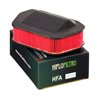 Filtro de Aire Hiflofiltro HFA4919