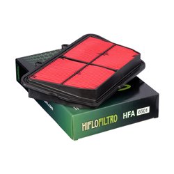 Filtro de Aire Hiflofiltro HFA6501