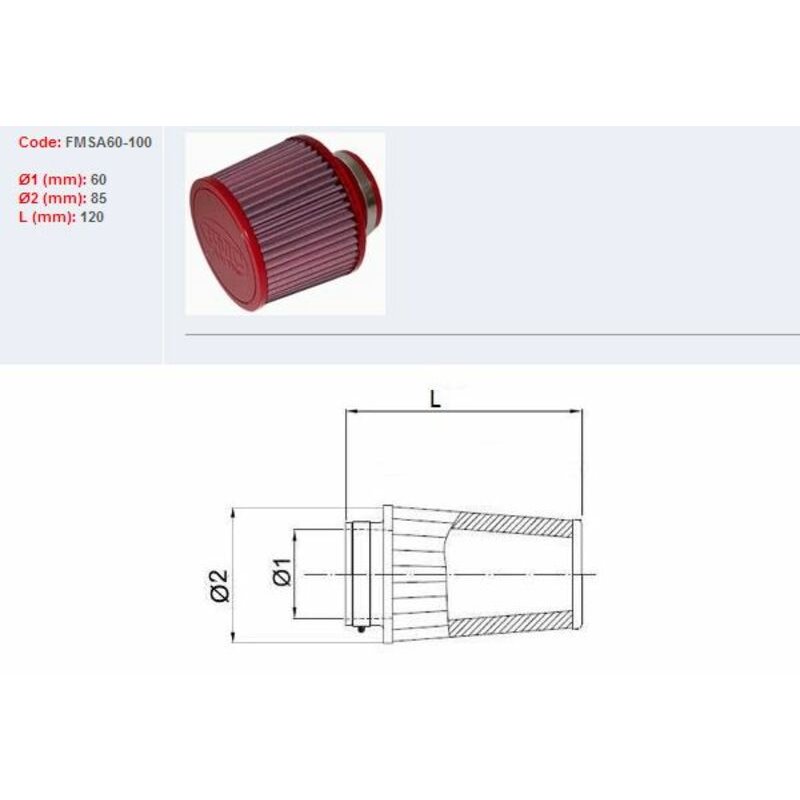 Filtro de aire BMC FMSA60-100